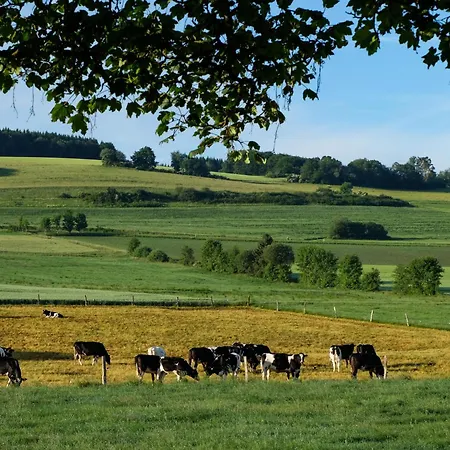 Reinskopf-5 By Interhome Apartment Schönecken