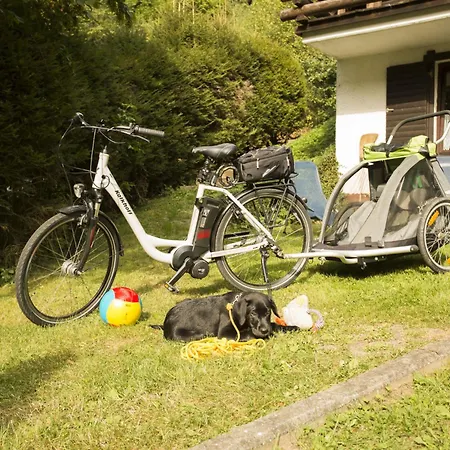 Reinskopf-5 By Interhome Apartment *