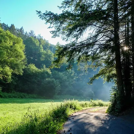 Reinskopf-5 By Interhome Apartment