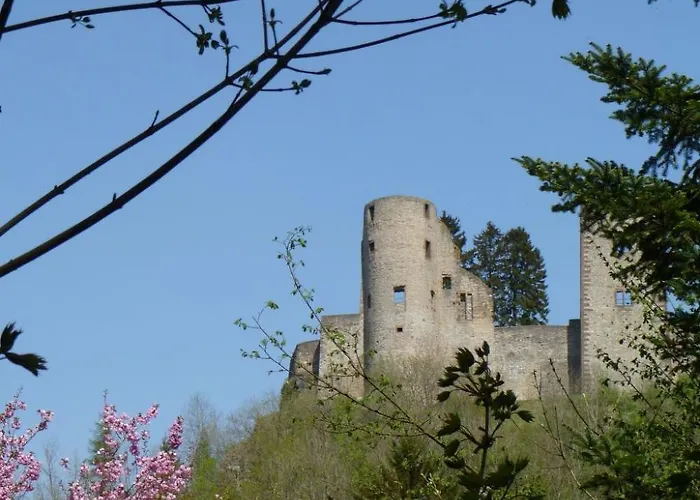 Reinskopf-5 By Interhome