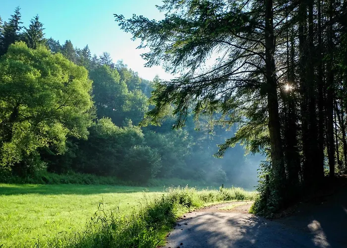 Reinskopf-5 By Interhome Apartment